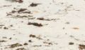 Thumbnail for version as of 16:46, March 5, 2026