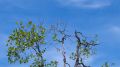 Thumbnail for version as of 12:12, March 5, 2026