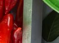 Thumbnail for version as of 15:25, February 13, 2026